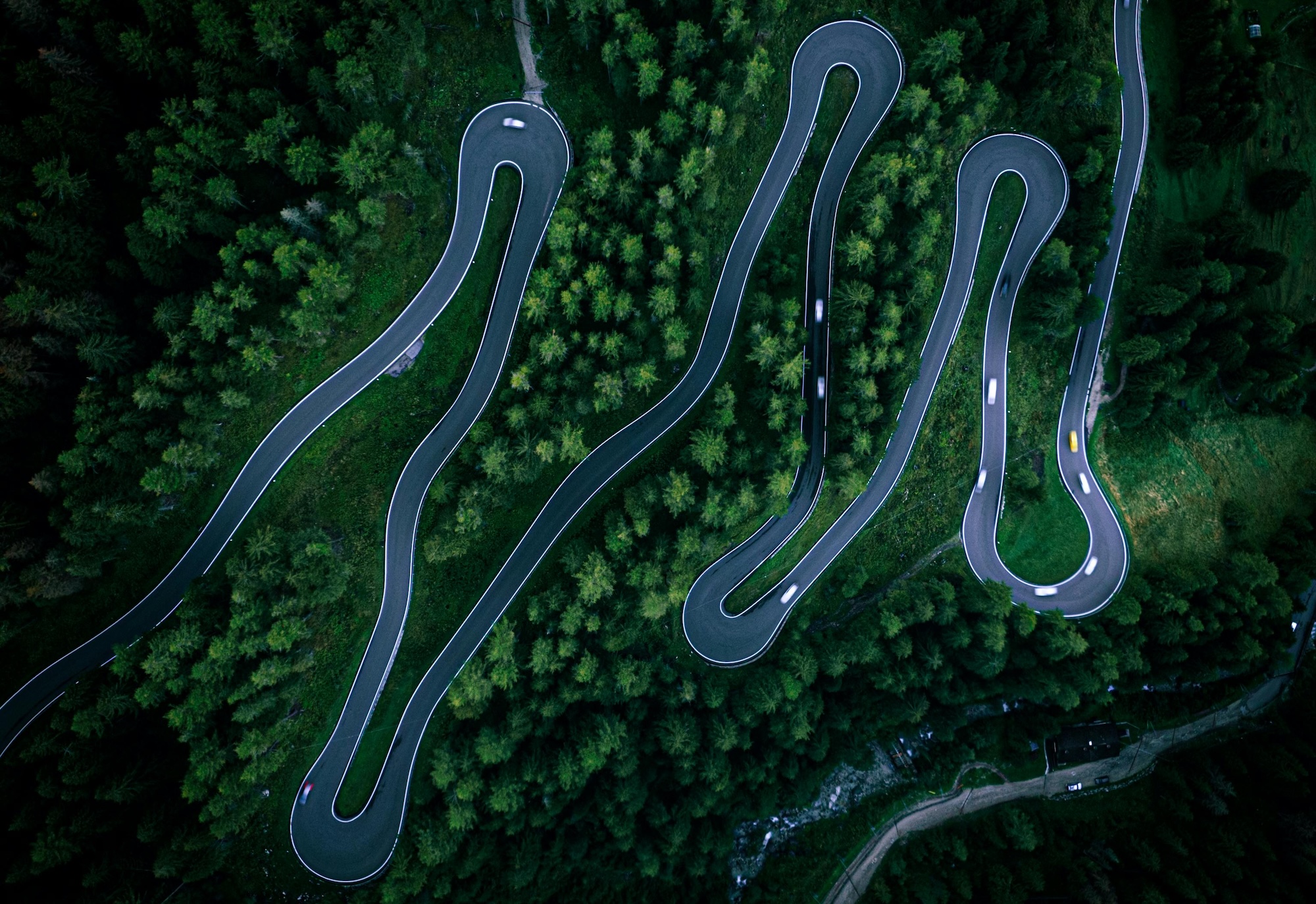 vue aerienne de routes sinueuses a travers une foret symbolisant management de transition accompagnement et changement canopee transition